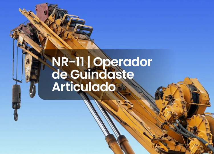 NR 11 – Operador de Guindaste Articulado