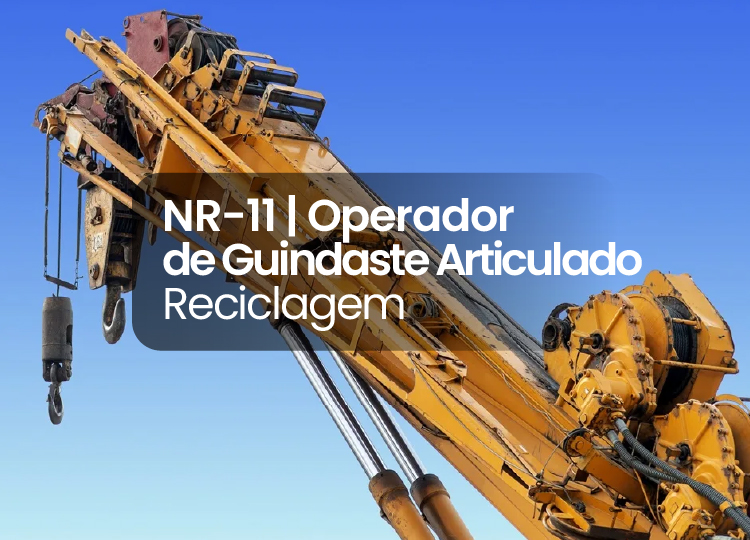 NR 11 – Operador de Guindaste Articulado Reciclagem